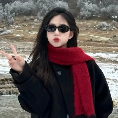 巴图快跑海报